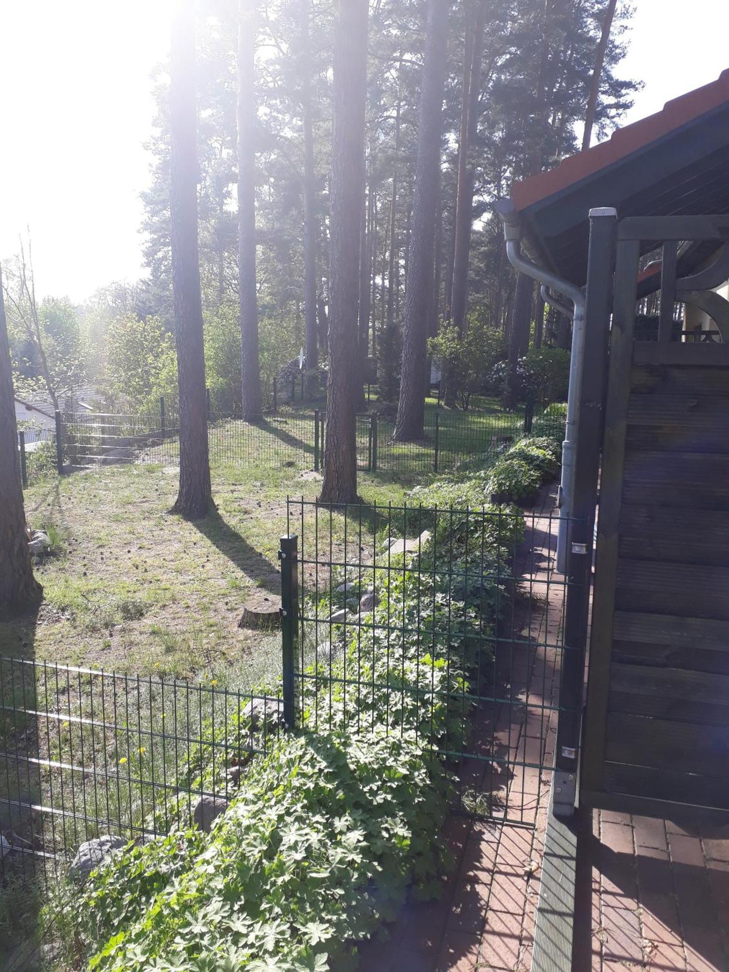 Ferienhaus Waldschneise B Am Jabeler See Exterior photo